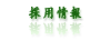 採用情報